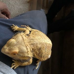 Meet your Posher, David